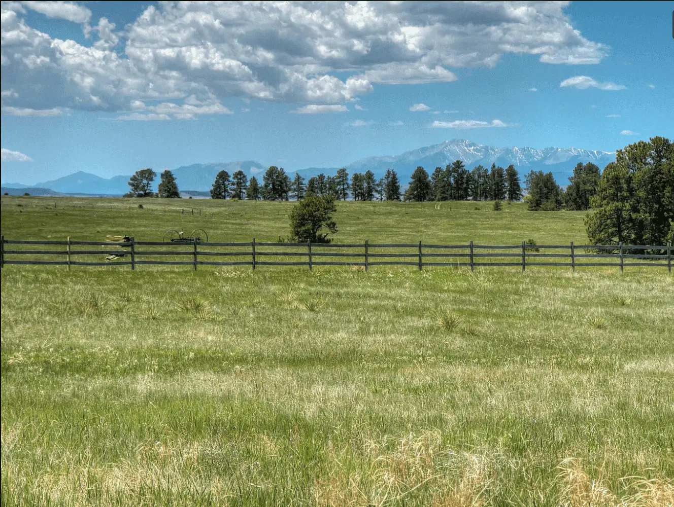 A field with trees and grass in the foreground.