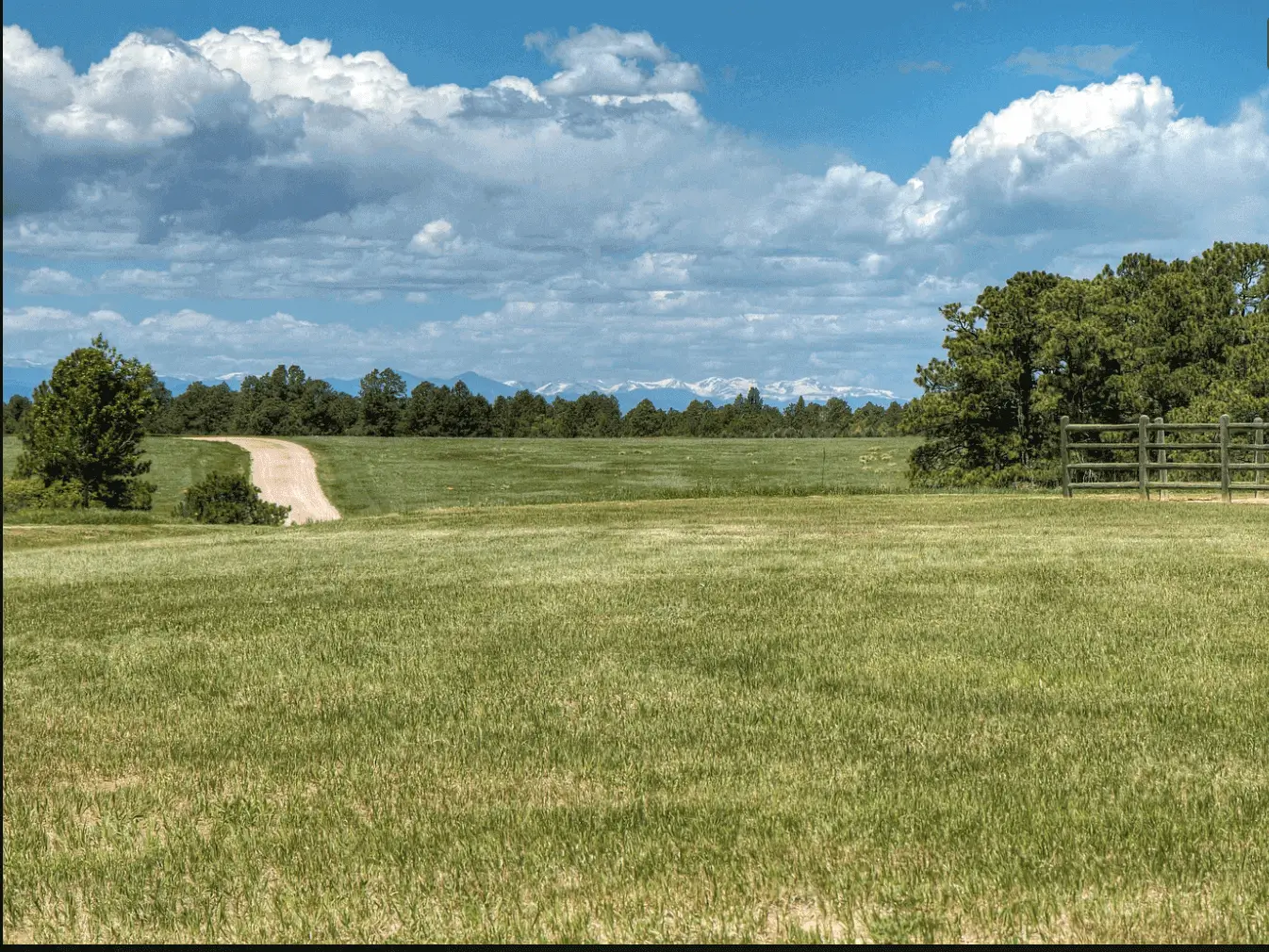 A large field with trees and clouds in the background.